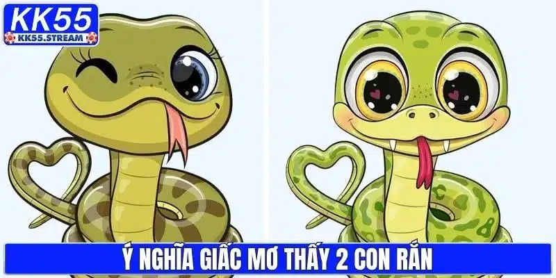 Chiêm bao thấy 2 con rắn có nhiều ý nghĩa